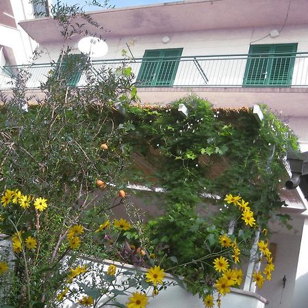 Apartman Sulic Podgora Exterior foto